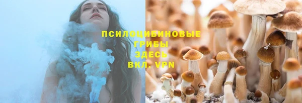 PSILOCYBIN Бронницы